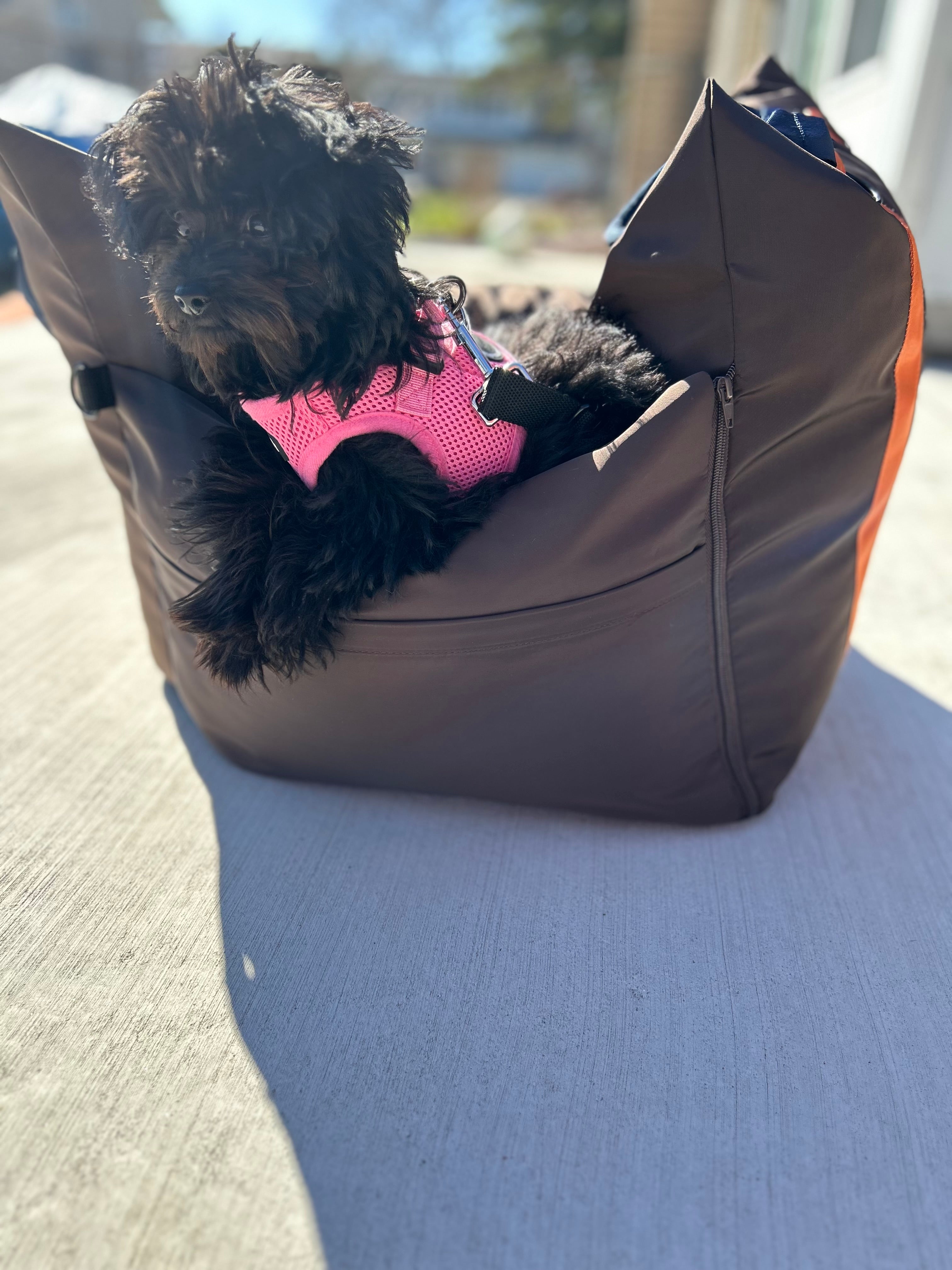 Pugs paws car seat best sale